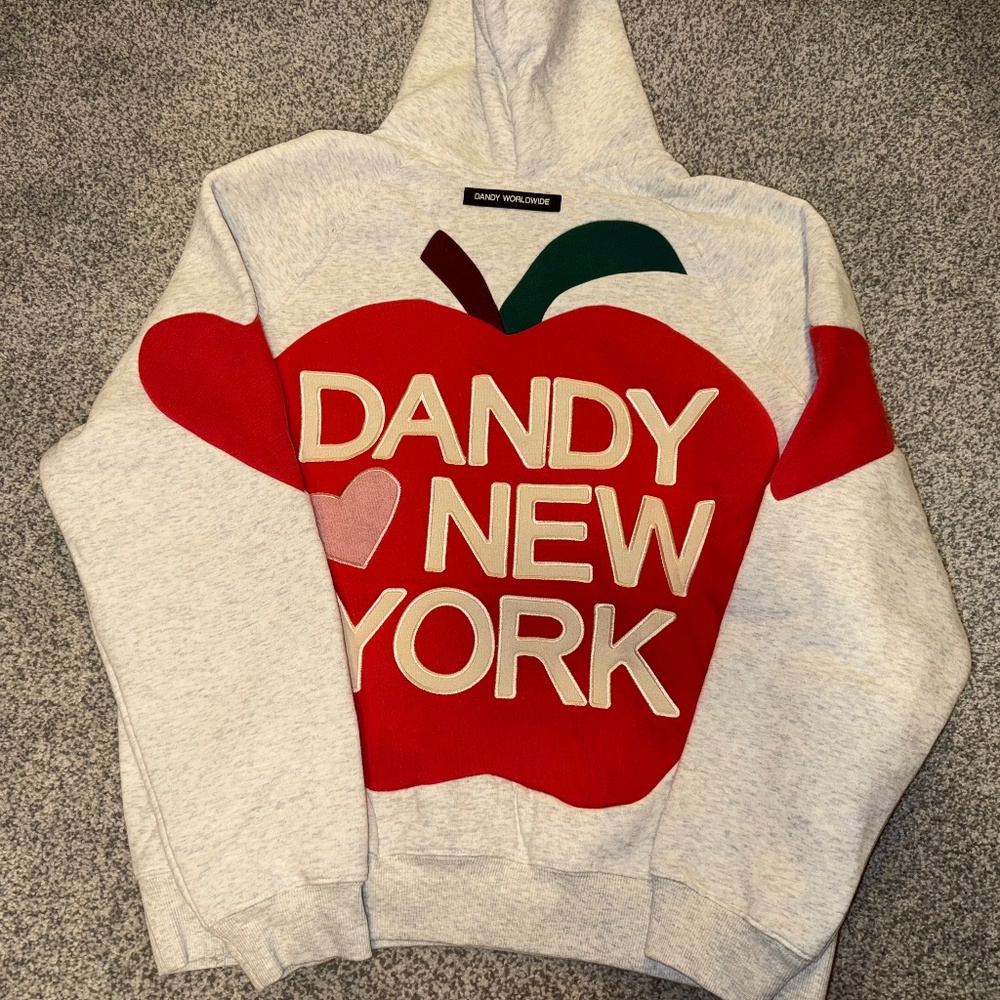 "Big Apple" Dandy New York Oversized Lux Hoodie in Heather Gray NWT - Small